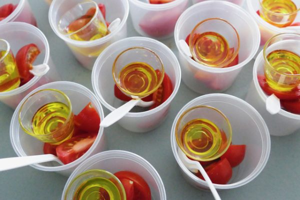 THE SKILLSHARE FORUM